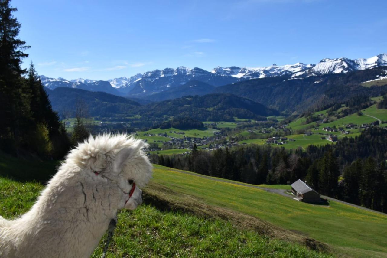 Ferienwohnung Brittenberg Alpaka Schwarzenberg im Bregenzerwald Exterior foto