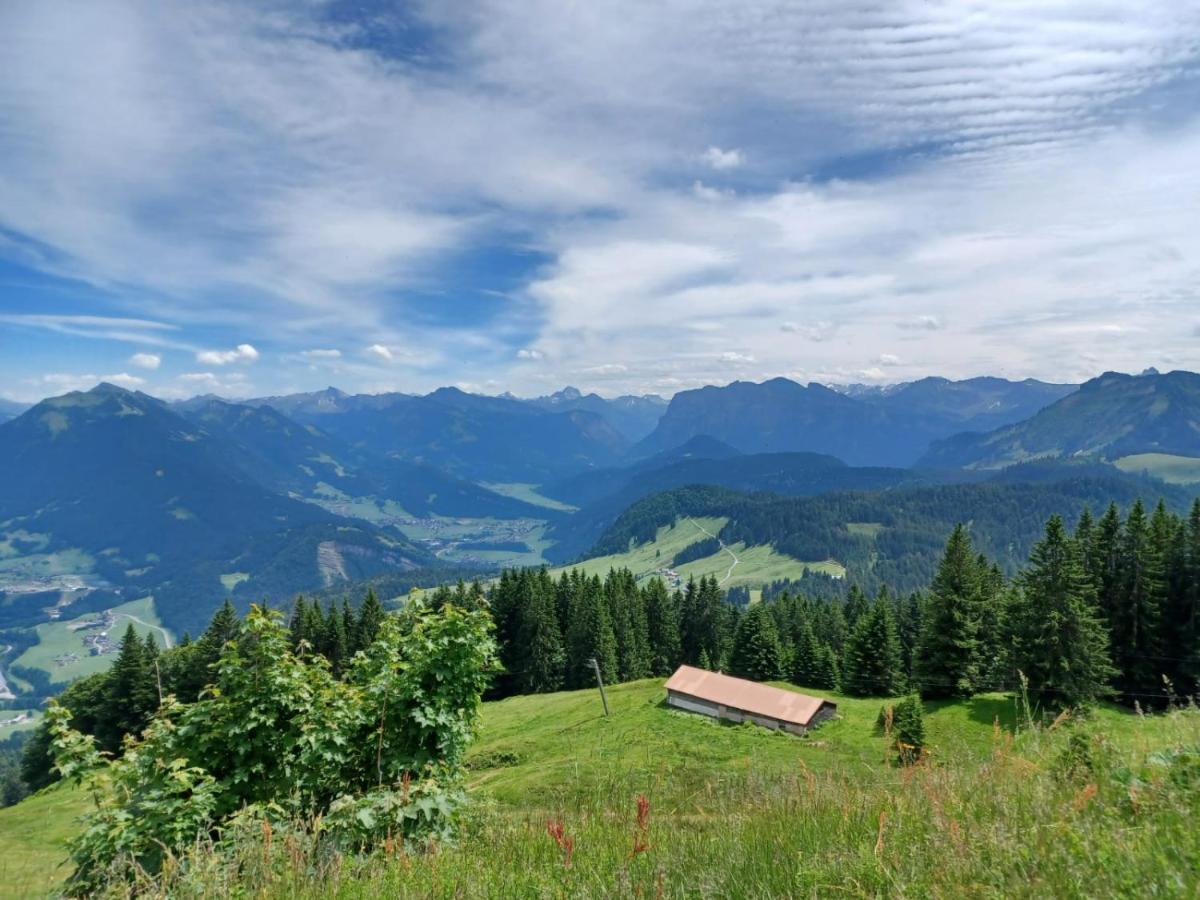 Ferienwohnung Brittenberg Alpaka Schwarzenberg im Bregenzerwald Exterior foto